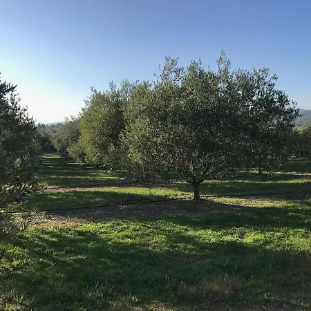 Casa vacanze Le Grand Bouteillan Pierrevert