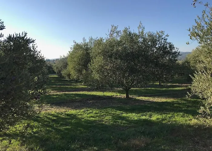 Holiday home Le Grand Bouteillan Pierrevert